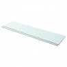 Prateleiras 2 pcs 100x25 cm vidro transparente 1