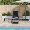 Tumbona de Sol Gris PE Rattan 157 x 55 x 92 cm Plegable 3