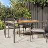 Mesa de Jantar Jardim Cinza 150x90x75 cm Rattan Sintético 1