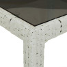 Mesa de Jantar Jardim Branca 190x90x75 cm Vime PE 4
