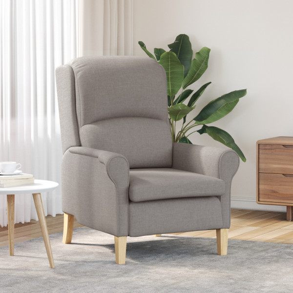 Sillón Moderno Taupe Tela de poliéster con patas de madera Medio D