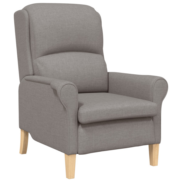 Sillón Moderno Taupe Tela de poliéster con patas de madera Medio M 3