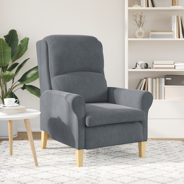 Sillón Gris Oscuro Gris oscuro Tela con patas de madera Estándar M 4