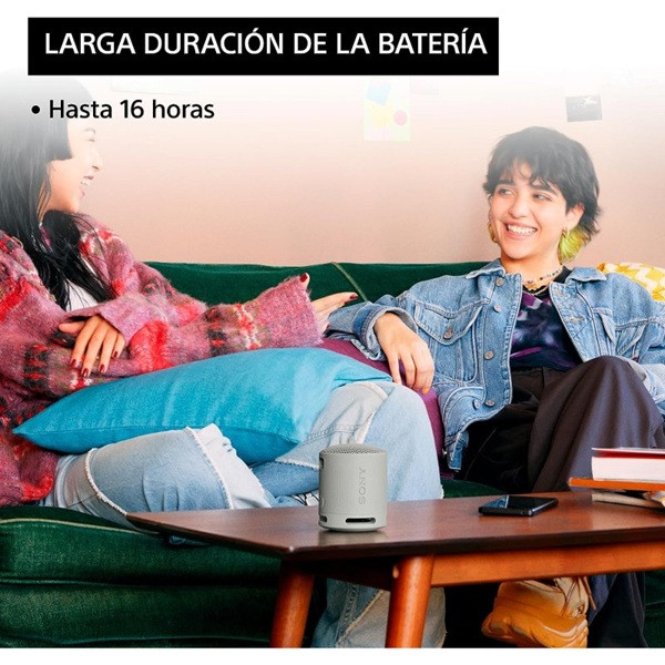 Altavoz portable con bluetooth sony xb100/ 2.0/ gris claro M 5