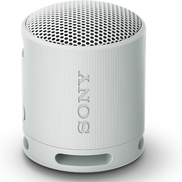 Altavoz con bluetooth Sony XB100 gris D