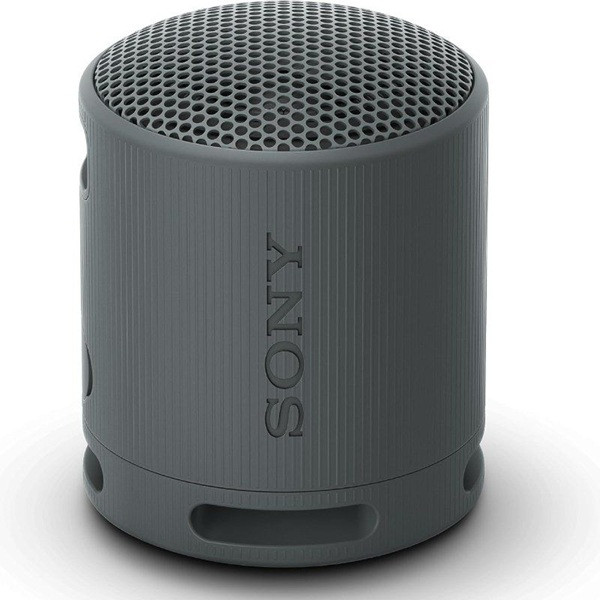 Altavoz con bluetooth Sony XB100 negro D