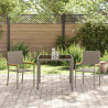 Conjunto de Jantar de Jardim  3 Peças Cinza Polyrattan 4