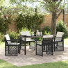Conjunto de Jantar de 5 Peças com Almofadas Preto Polyrattan 1