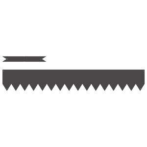 Bordes para césped 10 piezas acero negro 100x0.5x15 cm H