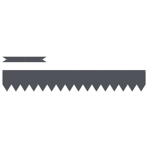 Bordas de Gramado 50 pcs Antracite 100x0.5x15 cm Plástico H