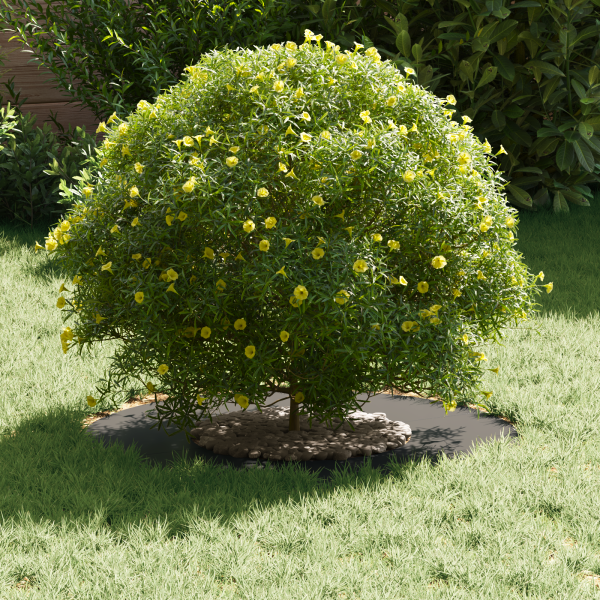 Macetero de Metal Negro Metal 60 x 60 x 1.3 cm M 3