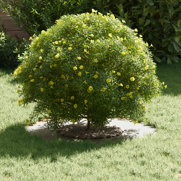 Maceta de Plástico Blanca Plástico Grande Redonda Moderna M 3