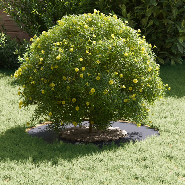 Vaso de Resina Antracite Resina Médio Vasos Vaso Antracite M 3