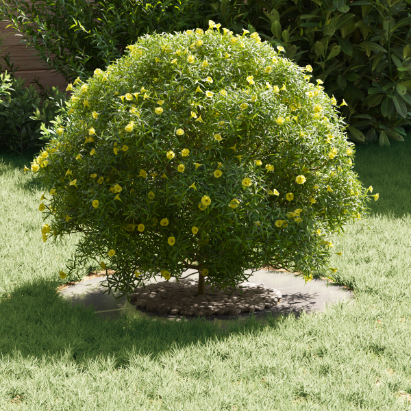 Macetero de Acero Inoxidable Acero Inoxidable Mediano Elegante M 3