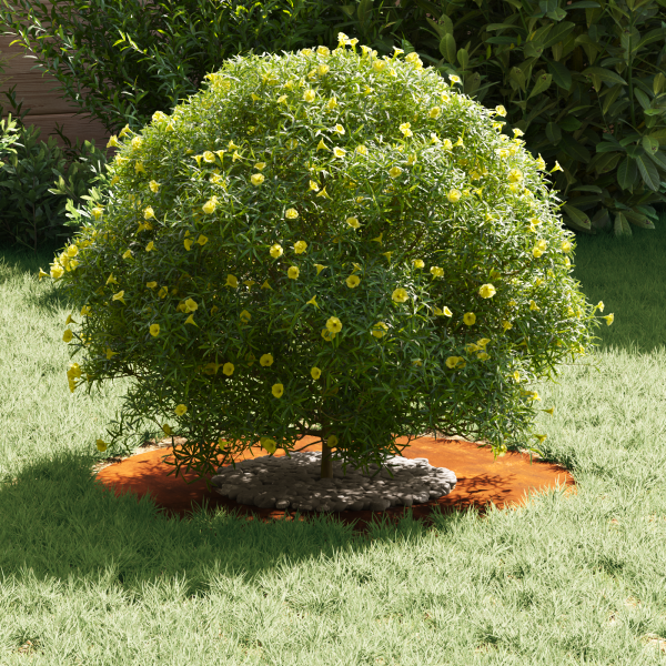 Planteira de Aço Corten Aço corten Grande Inserções Decorativas M 3