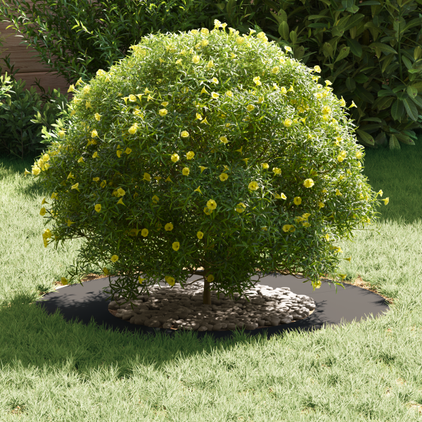 Anel de Vaso de Metal Preto Metal 70 cm de diâmetro M 3