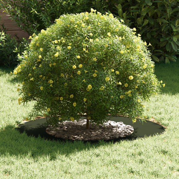 Maceta de plástico Verde oliva Plástico Grande M 3