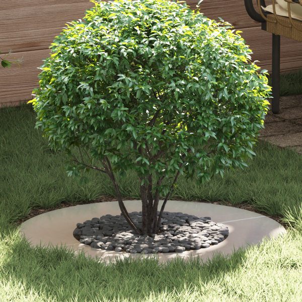 Macetero de acero inoxidable Acero inoxidable Grande Duradero D