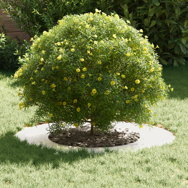 Vaso de Aço Inoxidável Aço Inoxidável Grande Durável M 3