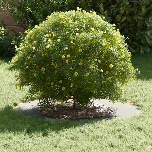 Macetero de Metal Galvanizado Galvanizado Hierro Galvanizado Grande M 3