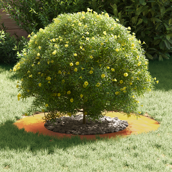 Plantadeira de Aço Corten Aço corten Médio Inserções Decorativas M 3