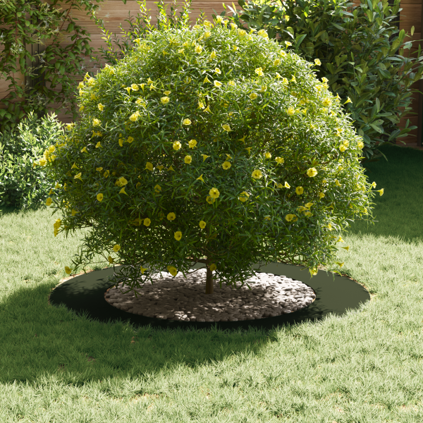 Macetero Verde Oliva de Metal Verde oliva Metal Grande Macetero M 3