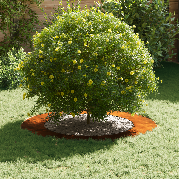 Plantadeira de Aço Corten Aço Corten Grande Inserções Decorativas M 3