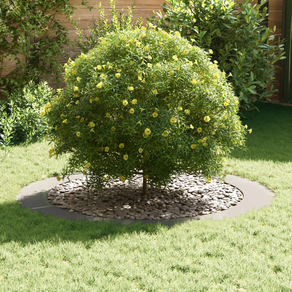 Macetero de Acero Inoxidable Acero Inoxidable Grande M 3