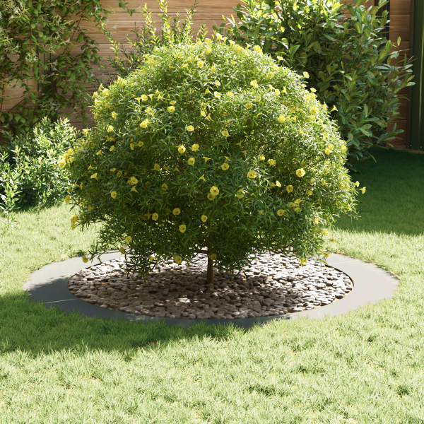 Macetero Galvanizado Galvanizado Acero Galvanizado Grande M 3