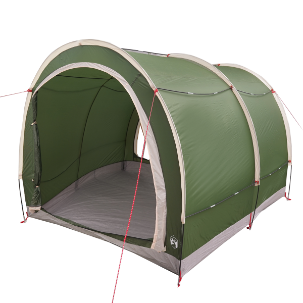 Tenda para arrumação de bicicletas Verde 256 x 222 x 182 cm M 2