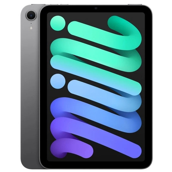 Apple iPad mini 8.3" 7th 2024 512GB WiFi gris D