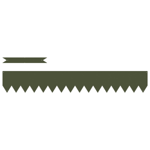 Bordes de Césped  30 pcs Verde Oliva 100x0.5x15 cm Plástico H