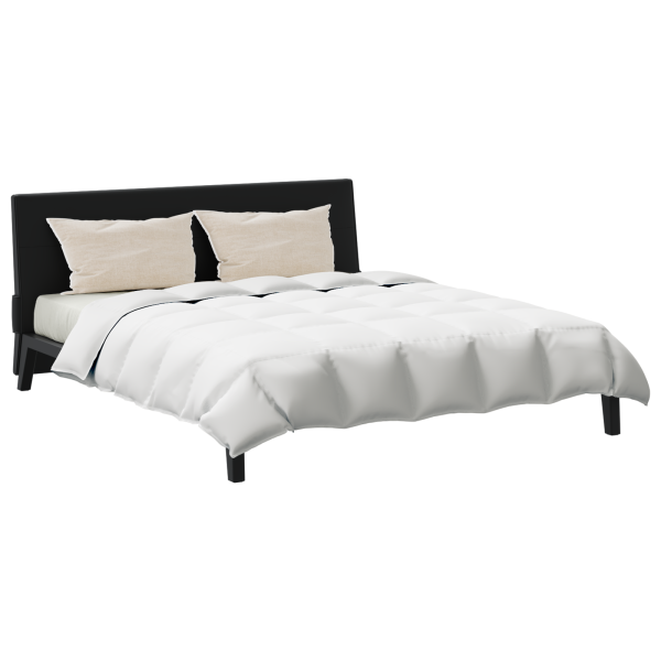 Edredão com travesseiro 3 pcs Branco 260 x 220 cm Penugem M 3