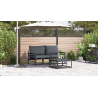 Conjunto de Sofá de Jardim 3 pcs Cinzento-escuro Aço 5