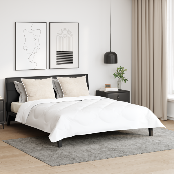 Almohadas 2 pcs Blanco 60 x 80 cm D