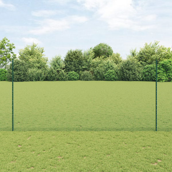 Postes de Cerca  11 pcs U-Channel Verde 160 cm Acero. Cerca Hexagonal  Verde 1.6x50 m Acero D
