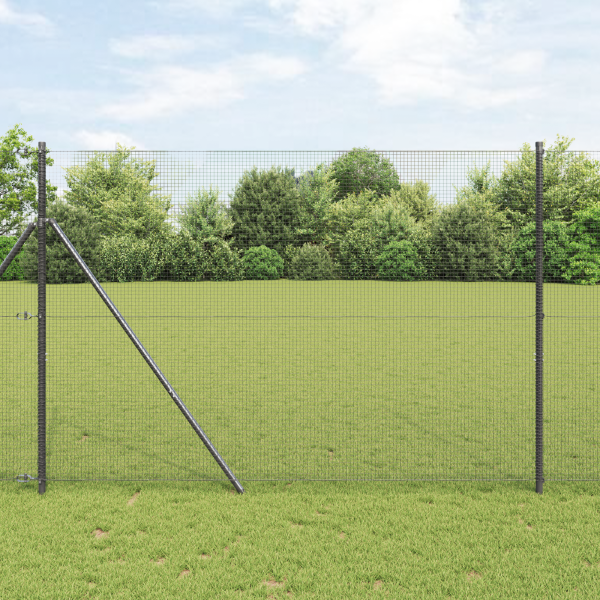 Cerca de alambre soldado  gris 1.6x25 m acero D