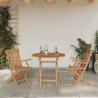 Conjunto Bistro de Jardín Plegable de 3 Piezas de Madera de Acacia 4