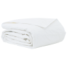 Colchas & Edredons Branco 200 x 220 cm Penugem 2