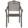 cadeiras de jardim  2 pcs em alumínio fundido bronze 4