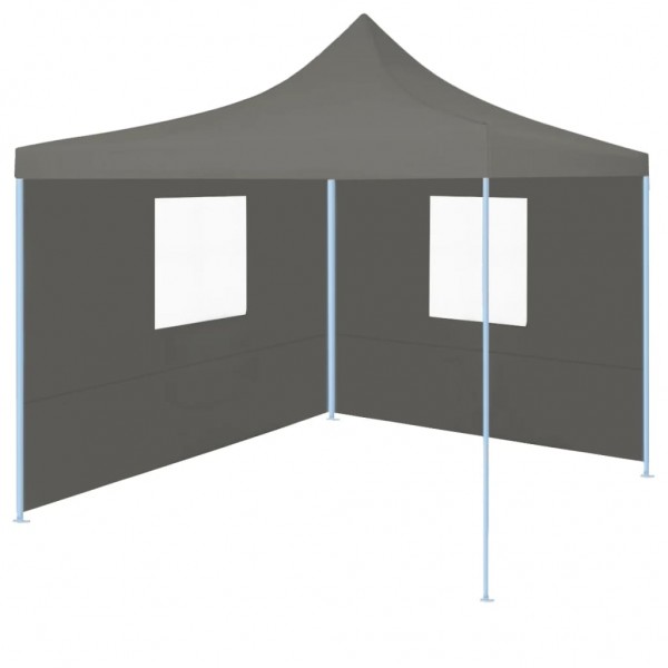 Carpa plegable profesional 2 paredes acero gris antracita 2x2 m D