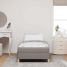 Cama tipo Box Spring Taupe. Marrón 100 x 200 cm 5