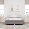 Cama Box Taupe. Marrom 160 x 200 cm 5