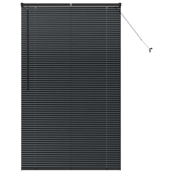 Persiana para Ventana con cortinas Otro Manual Negro 105 x 175 cm Aluminio M 2