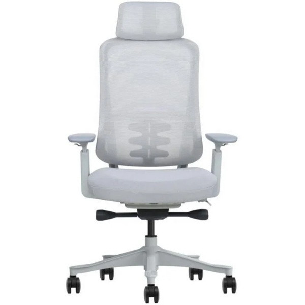 Silla de oficina PHOENIX Lira blanco D