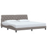 Cama sin colchón tela gris taupe 200x200 cm 3