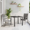 Conjunto de Comedor de Jardín 3 pcs Gris Poliratán 1