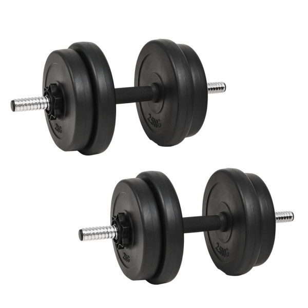 Mancuernas con discos 40 kg D