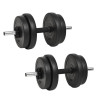 Mancuernas con discos 40 kg 1
