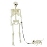 Decoración de Halloween: esqueleto con perro 2 pcs 155 cm 1